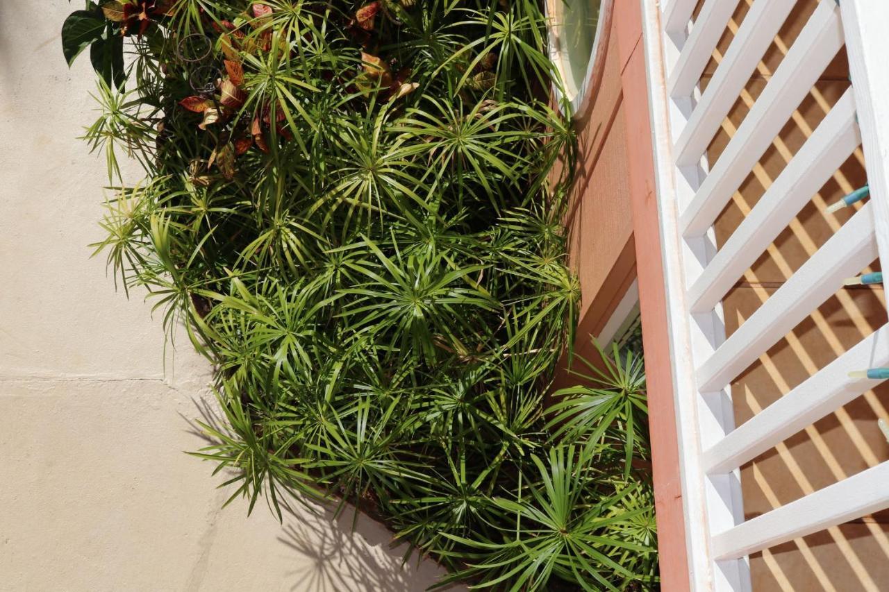 Villa Maui Garden Oasis Lahaina Exterior foto